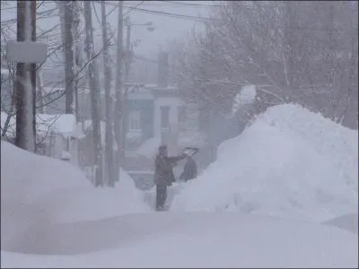 En hiver, il faut particulièrement respecter les indications autour des rues que ce soit pour la circulation ou le stationnement. Dans cette rue prise dans la tempête, que ne faut-il pas faire selon la pancarte ?