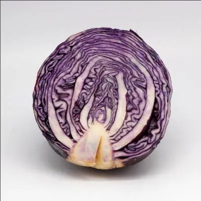 Le chou rouge est en fait...