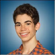 Qui, dans la famille Ross, est amoureux de Jessie ?