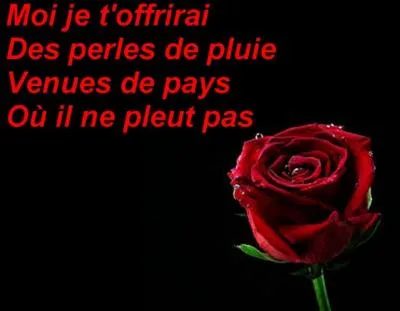 Qui est l'interprète ?