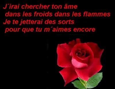 Qui est l'interprète ?