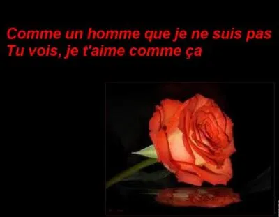 Qui est l'interprète ?