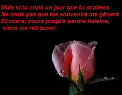 Qui est l'interprète ?