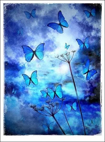 "Pascal" ! Définition de son anagramme :