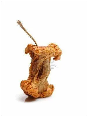 Cette dégradation est notamment due à :