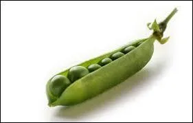 J'ai une "petite" toux.