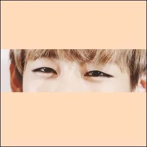 À qui appartiennent ces yeux ?