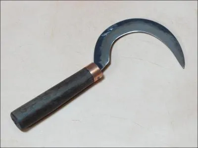 Jour 20. Outil de jardinage servant à couper des petites branches :