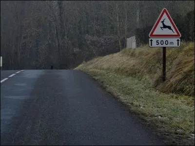 La signalisation m'informe un risque de traversée d'animaux sauvages :
