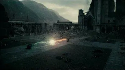 Lequel de ces elfes s'est battu pendant la bataille de Poudlard ?