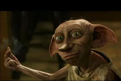 Que n'a pas fait Dobby pour empêcher Harry d'aller à Poudlard ?
