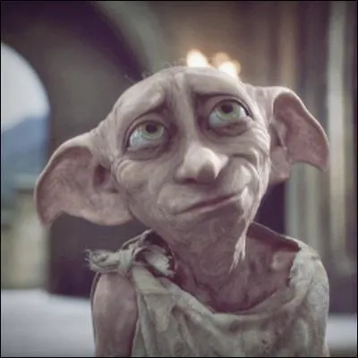 Dans le livre, Dobby a aidé deux fois Harry. Mais dans le film, qui le fait à sa place ?