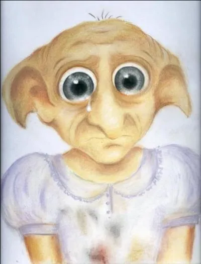 Qui était le maître de Winky ?