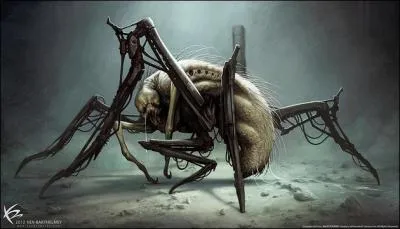 Comment Minho et Thomas se débarrassent-ils des Griffeurs ?