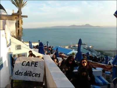 Qui chantait "Mes souvenirs se voilent, ça fait comme une éclipse, une nuit pleine d'étoiles sur le port de Tunis ..." ?