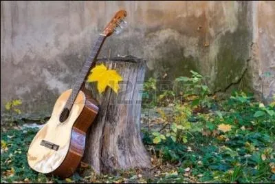 Qui chantait " Si tu me vois un jour astiquer mes souvenirs, parce que je ne verrai plus briller mon avenir .....tue moi" ?