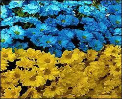 Un autre départ ! Mais heureusement, nous avons le choix entre ces deux-là :