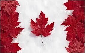 C'est à lui maintenant !