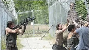 Que remarquent'ils ?