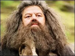 Hagrid adore le trio Harry-Ron-Hermione, et c'est un vrai gentil  ! Alors pourquoi Hagrid envoie-t-il en connaissance de cause deux enfants inexpérimentés chez Aragog, au lieu de leur dire bêtement « Ce n'est pas moi qui ait ouvert la chambre, c'est Jedusor »  ?