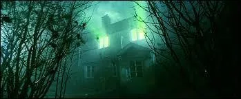 Les parents de Harry sont décrits comme étant intelligents et de puissants sorciers. Alors pourquoi, alors qu'ils ont un contrat sur leur tête ainsi que leur bébé, vont-ils se cacher dans leur propre maison, à Godric Hollow  ?