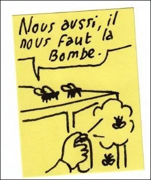 L'équilibre de la terreur est la formule consacrée pour signifier que l'URSS et les E.U sont à égalité dans la capacité d'anéantissement de l'espèce humaine et de la planète (plusieurs fois même ! ) soit, autre formule symbolique, la destruction mutuelle assurée ; par conséquent...