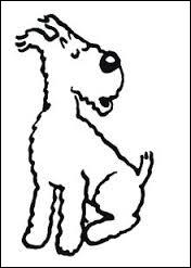 On commence par ce chien, fidèle compagnon de Tintin. Vous le connaissez forcément. Il s'agit de ...