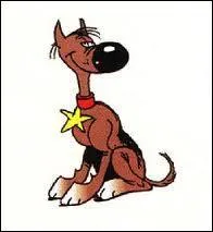 Chien de l'univers de Lucky Luke, il a pour particularité d'être complètement stupide. Vous avez bien évidemment reconnu ...