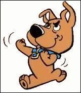 Lui est le neveu du chien précédent. Il se nomme ...