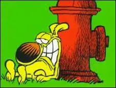 Le nom de ce chien est ?