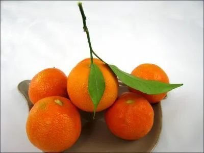 Qu'est ce que la clémentine ?