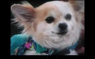 Et comment s'appelle son chien ?