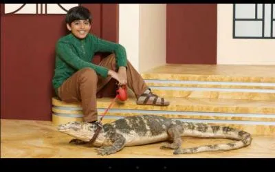 Comment s'appelle le lézard de Ravi ?