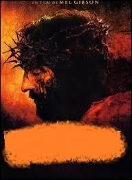 2004 est l'année de sortie de ce film, réalisé par Mel Gibson. Les personnages phares sont incarnés par Jim Caviezel, Maia Morgenstern ou encore Monica Bellucci. Comment s'intitule cette oeuvre ?