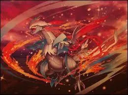 De quels types est Kyurem blanc ?