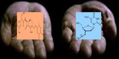 Le SIDA est la phase symptomatique de l'infection au VIH principalement caractérisée par une immunosuppression.
Lequel de ces médicaments fait partie de la trithérapie généralement proposée au patient infecté par le VIH ?