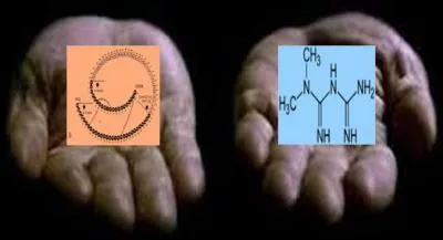 Le diabète de type 2 est l'une des maladies les plus fréquentes et se manifeste par un taux anormalement élevé de sucre dans le sang. 
Laquelle de ces molécules est celle à utiliser en premier dans le cadre du diabète de type 2 ?