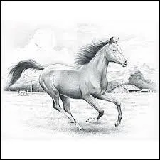 Pour partir au galop :