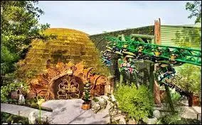 Comment s'appelle cette attraction ?