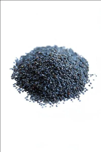 Les graines de pavot sont très utiles. Pourquoi ?