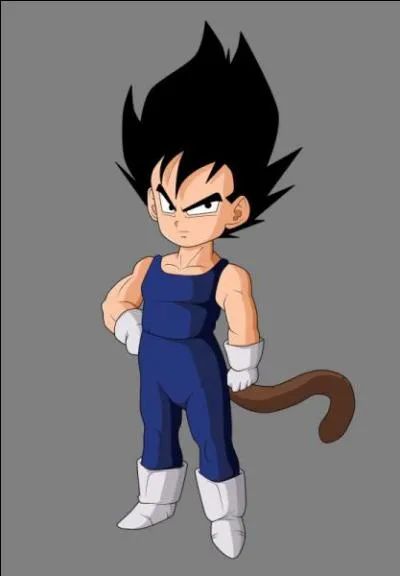 Vrai ou faux ? Déjà petit, Végéta battait le roi.