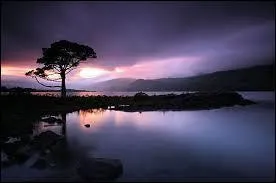 Quel est le Pokémon défini comme le Pokémon mystérieux ?