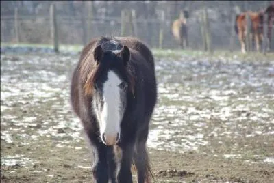La reconnaissance du parcours d'obstacles se fait :