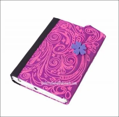 Quelle est la couleur de son journal intime ?