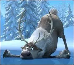 Comment s'appelle le renne de Kristoff ?
