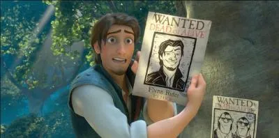 Qu'est-ce que Flynn Rider a volé au début du film ?