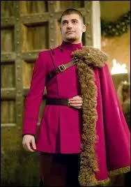 Hermione est-elle sortie avec Krum ?