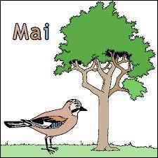 En avril, ne te découvre pas d'un fil, en mai, fais ce qu'il te plaît ! Comment dit-on "mai" en Anglais ?