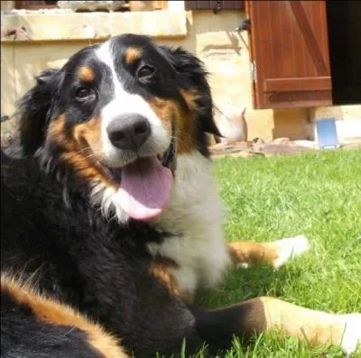 D'après Josh Billings, quelle est « la chose que l'on ne peut acheter avec de l'argent » ?