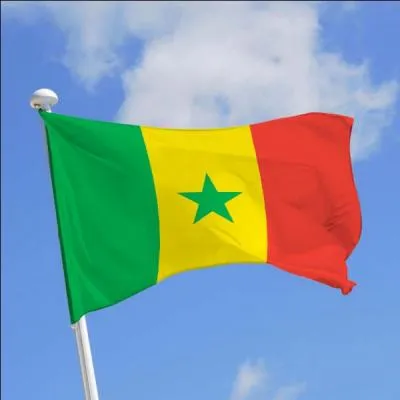 Ce drapeau est le drapeau de/du :